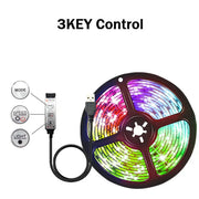 1-30M/100FT USB LED Strip Lights Tuya APP Control Color Changing 5050 RGB TV Backlight Flexible Lamp Tape for Room Decoration