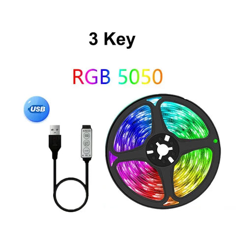 WiFi LED Strip Light Tuya Smart Life Flexible Light Lamp USB RGB5050 Desktop Screen TV BackLight Diode Tape Support Alexa Google