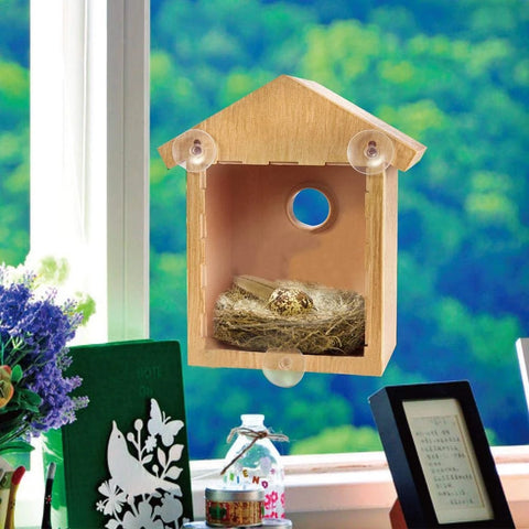 Outdoor Bird Nest With Suction Cup Garden Decoration Supplies Bird Nest For Home Window