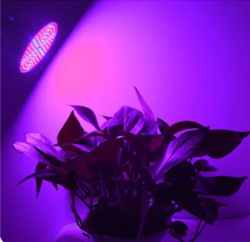 Phyto Lamp Full Spectrum LED Grow Light E27 Plant Lamp Fitolamp For Indoor Seedlings Flower Fitolampy Grow Tent Box