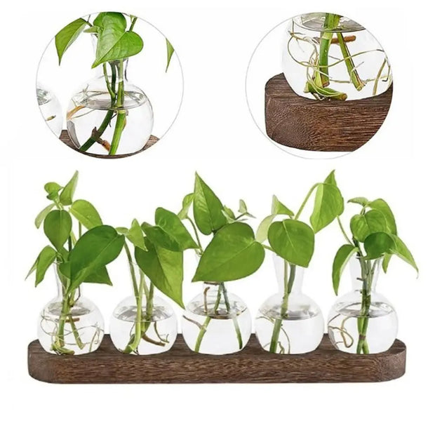 Modern Transparent Hydroponics Glass Vase with Wooden Tray Creative Plant Terrarium Propagation Station Desktop Decorating Vase