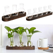 Modern Transparent Hydroponics Glass Vase with Wooden Tray Creative Plant Terrarium Propagation Station Desktop Decorating Vase