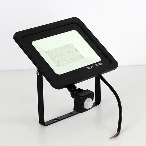 10W 20W 30W 50W 100W Induction Led flood light With Adjustable PIR Sensor 110V 220V floodlight Street Square Outdoor Lighting